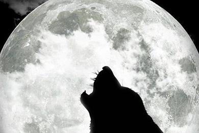 Background, Iphone, Iphone Wallpaper, Moon, Stuff, Wallpapers ...