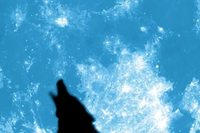 Wolf And Ful Moom iPhone 5 Wallpapers