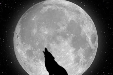 50 Awesome Collection Of Iphone Wallpapers