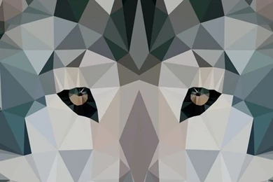 Low Polygonal Wolf HD Desktop Wallpapers : High Definition ...