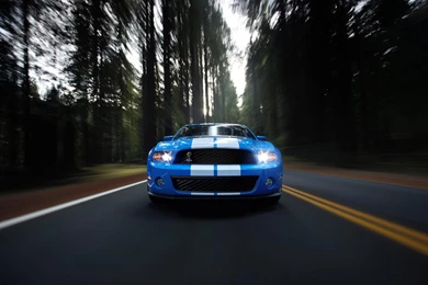 Best Collection Of Mustang Wallpapers For Desktop Screens