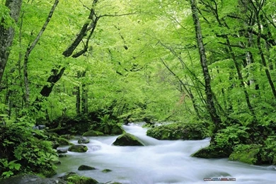 Wallpapers In PC   Wallpapers HD Base