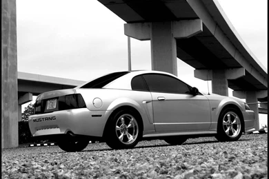 Ford Mustang Wallpapers & Mustang Backgrounds