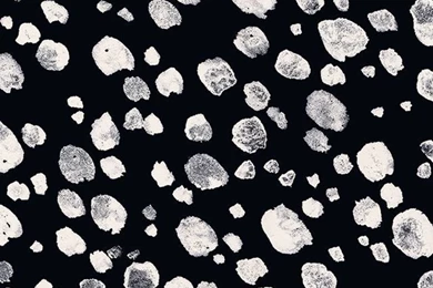 The Desktop Wallpapers Project