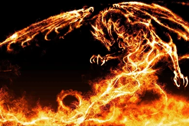 Free Dragon Wallpapers Downloads_hd Wallpaper_download Free Wallpapers