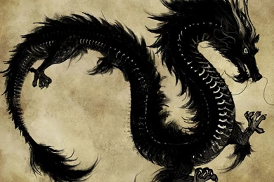 Black_chinese_dragon_wallpapers.jpg