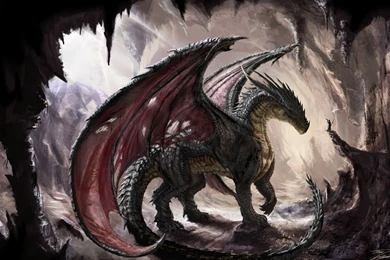 Full HD 1080p Dragon Wallpapers HD, Desktop Backgrounds 1920x1080
