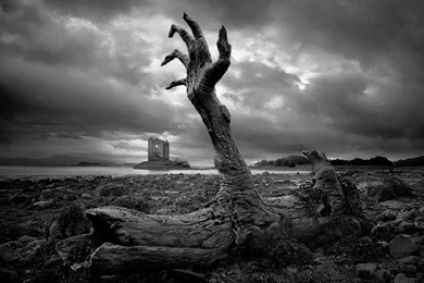 Zombie Backgrounds Wallpapers 134953