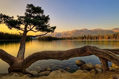 Nature Wallpapers HD 2.jpg