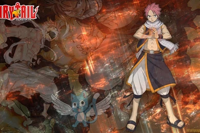 196 Fairy Tail HD Wallpapers