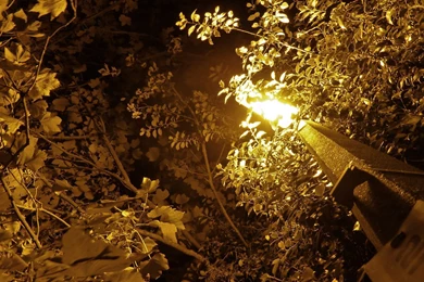 Free Desktop, Tablet And Ipad High Res Wallpapers Page 1