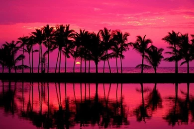 Tablet (id: 99684) – BUZZERG