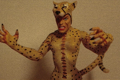 Cheetah Computer Wallpapers, Desktop Backgrounds