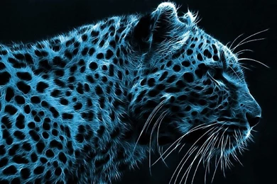 Online Get Cheap Cheetah Wallpapers  Aliexpress.com