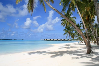 Maldives Wallpapers   Beach Wallpapers