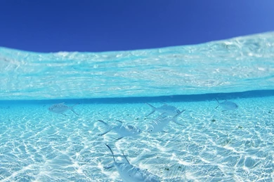 Maldives Widescreen Wallpapers Maldives Travel Maldives Tourism ...