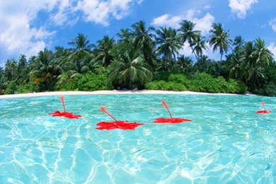 Maldives Widescreen Wallpapers   Maldives Travel   Maldives Tourism ...