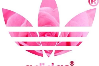 Adidas, Background, Header, Pink, Pink Rose, Rose, Wallpapers ...