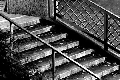 Adidas Skateboarding iPhone 5 Wallpapers