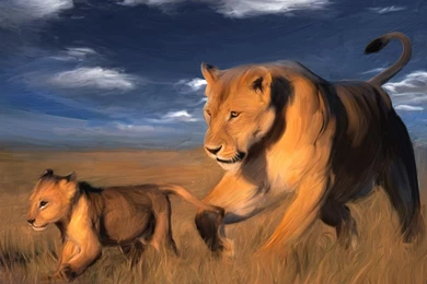 Beautiful Free Desktop Backgrounds Wallpapers Of Lion With Its Cub ...