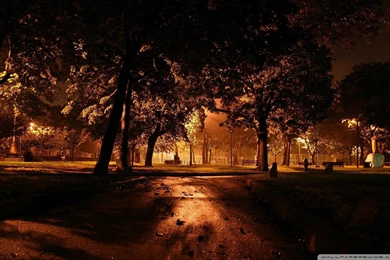 Park At Night City Wallpapers Full HD [1920x1200]   Free Wallpapers ...
