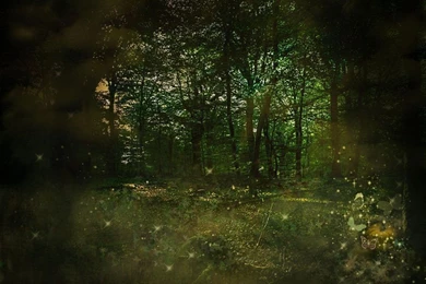 Fantasy Backgrounds DeviantArt Favourites