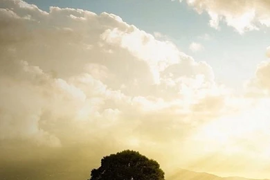 Cool Think Robot Iphone 4 Wallpapers Free 640x960 Hd Iphone Retina ...