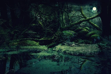 Forest Backgrounds By Vashar23 On DeviantArt