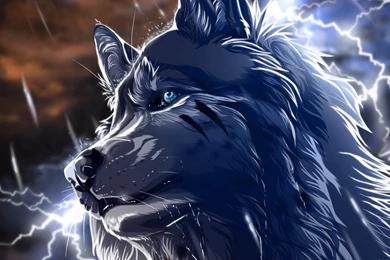 2560x1440 Anime Wolf Wallpapers