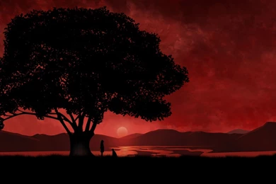 2560x1440 Anime Red Sunset & Tree Desktop PC And Mac Wallpapers