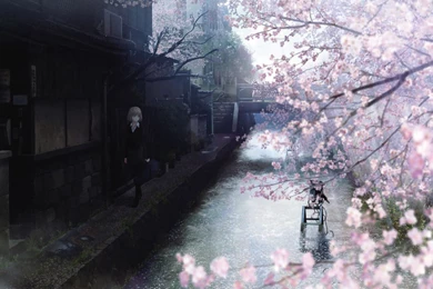 Walking On The Cherry Blososm Filled Tree Wallpapers Anime ...