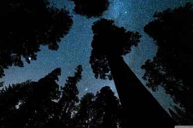 Andromeda And The Milky Way Above The Oregon HD Desktop Wallpapers ...
