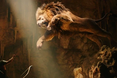 3D Lion HD Wallpapers3.jpg