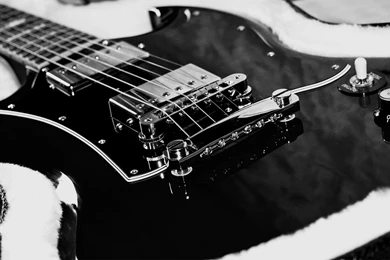 Guitar   Guitar Wallpapers (27380682)   Fanpop