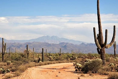 Desert Backgrounds Pictures