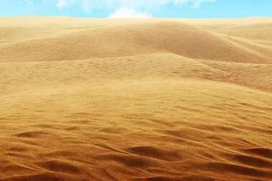 Sandy Desert Twitter Cover & Twitter Backgrounds
