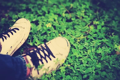 Download Wallpapers 2560x1440 Feet, Grass, Shoelaces, Shoes Mac ...