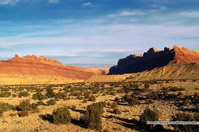 Desert   Free Screensavers And Backgrounds