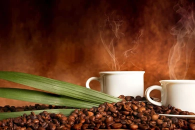 Coffee Wallpapers 3911 High Definition HD Full Size Attachment ...