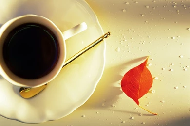 Coffee   Coffee Wallpapers (16760276)   Fanpop