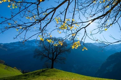 Autumn, Schachental, Switzerland HD Desktop Wallpapers : High ...