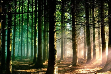 Colored Chalk Mac Wallpapers Download