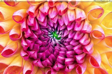 How To Get New iMac 2012 Flower Wallpapers DOWNLOAD LINK IN ...