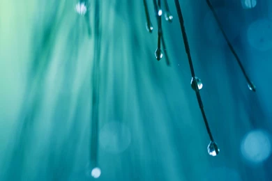 Rainy Mac Wallpapers Download