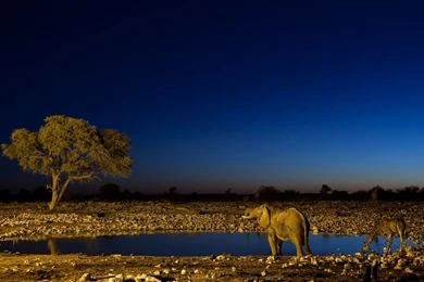 HD Wallpapers Source   Page 373 Of 489   100% Quality HD Desktop ...