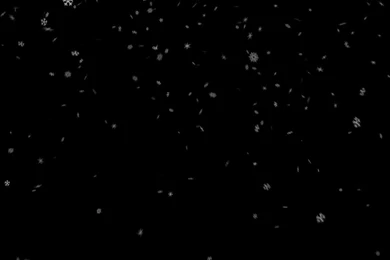 Stock Snowfall Black Backgrounds   YouTube