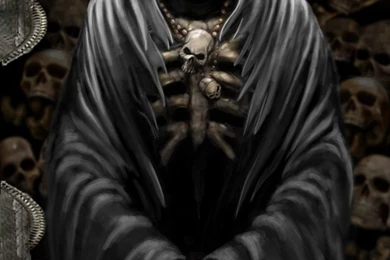 Wallpapers Pictures Photos: Skull Pictures