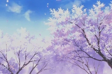Anime Backgrounds