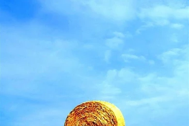 Z Wallpapers Full Hd 1080 X 1920 Smartphone Bale Of Hay   1080 X ...