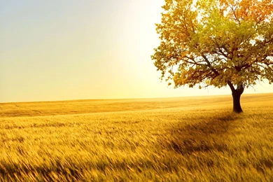 Wallpapers HD Desktop HD Wallpapers Desktop Wallpapers ...